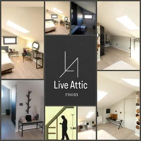 Bed and breakfast Live Attic *