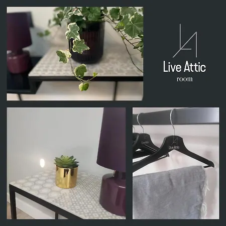 Bed and breakfast Live Attic Somma Vesuviana