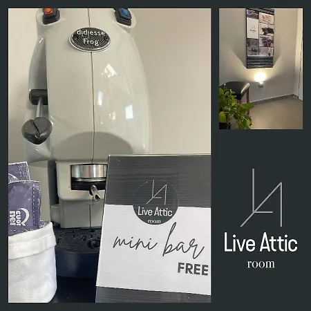 Live Attic Bed and breakfast *