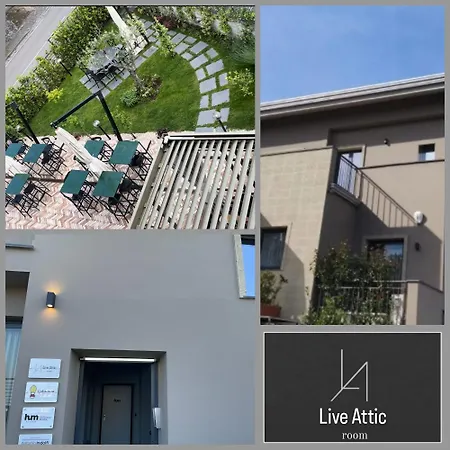 Live Attic Bed and breakfast
