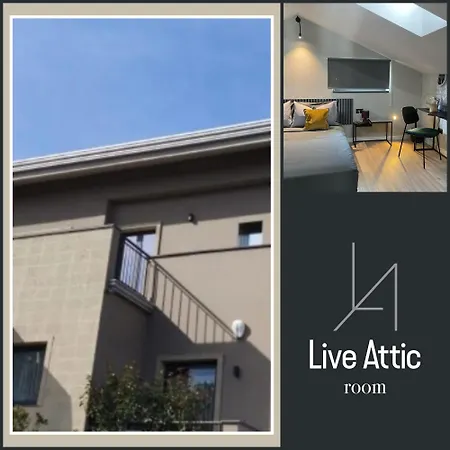 Bed and breakfast Live Attic *